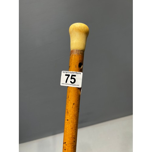 75 - Vintage walking stick with bone handle