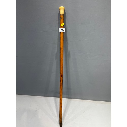 75 - Vintage walking stick with bone handle