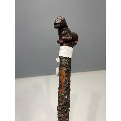 80 - Rare early 20th century carved head walking stick