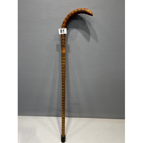 81 - Unusual shape walking stick