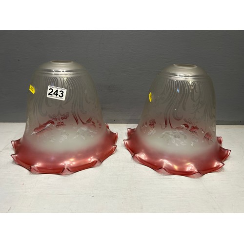 243 - Good pair of 20th century heavy glass shades