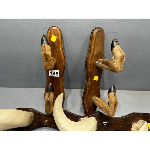 186 - 3 Rams horn & hooves coat/hat racks