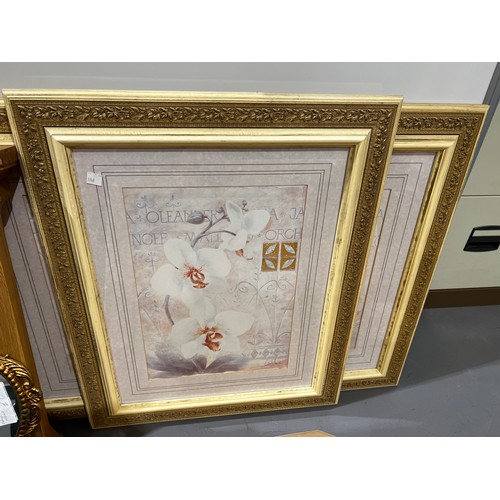 293 - 4 Cream framed pictures