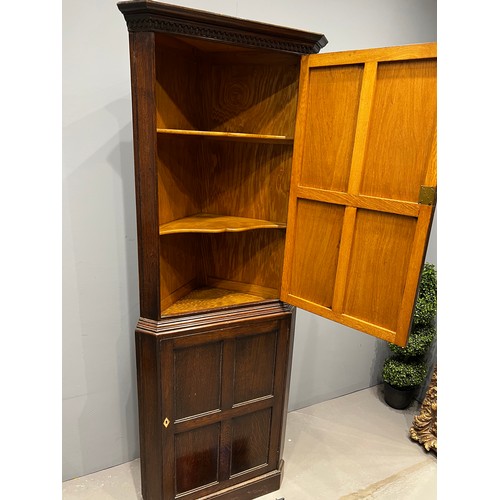 1040 - Antique oak 2 door corner cupboard