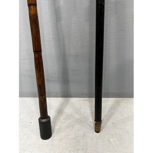 368 - 1 Gold & 1 silver rimmed walking sticks