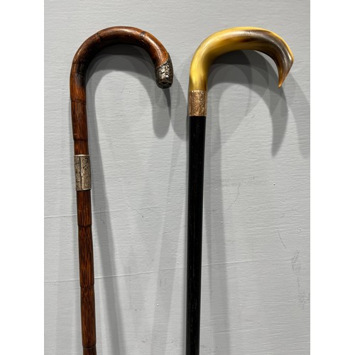 368 - 1 Gold & 1 silver rimmed walking sticks