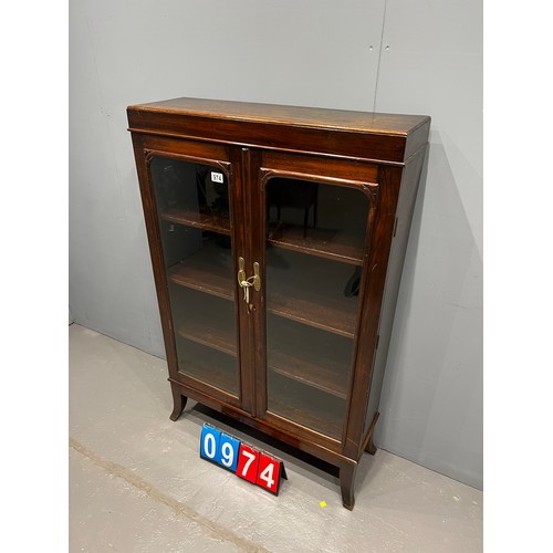 974 - 2 door library bookcase