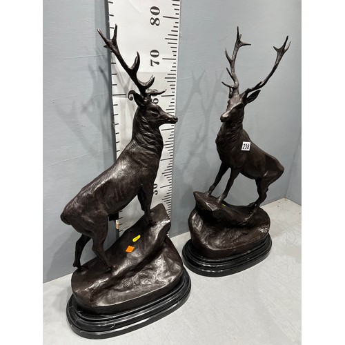 238 - Impressive pair of bronze stags on marble plinth. 29