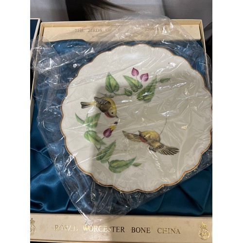 529 - Set of 12 Royal Worchester Birds of Dorothy Doughty plates. All boxed