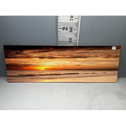 540Z - Unframed canvas art picture