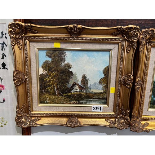 391 - Pair of oil on canvas in gilt frames