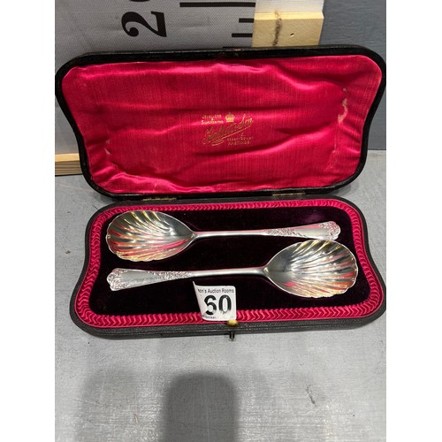 560 - Pair silver fruit spoons in case. Hallett + Sons Hastings. 93g