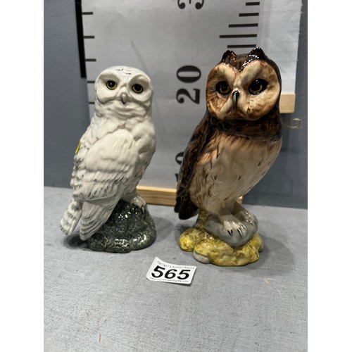 565 - 2 Royal Doulton owl decantors