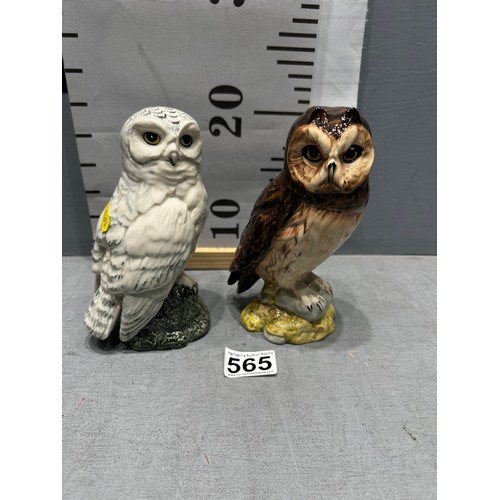 565 - 2 Royal Doulton owl decantors