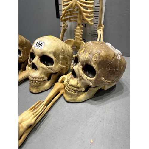 190 - 3 Skull heads + skeleton figure