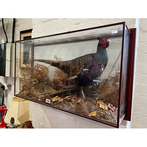 496 - superb Cased Taxidermy pair pheasants. wall mounted