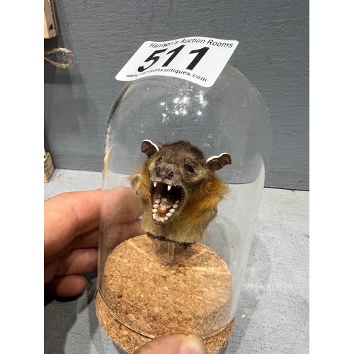 511 - Bats head under glass dome