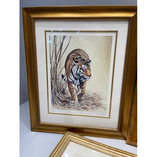 51 - 5 signed Stephen Gaynor Limited Edition Animal prints