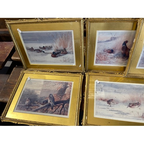 486 - 7 gilt framed pictures (possibly water colours) signed Archibald Thornton 1902