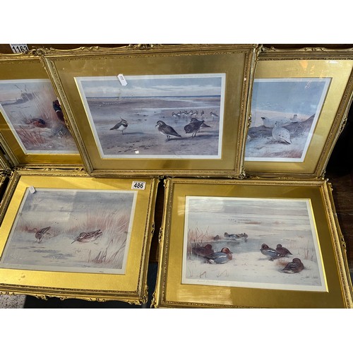 486 - 7 gilt framed pictures (possibly water colours) signed Archibald Thornton 1902