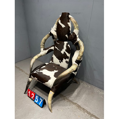 1257 - Rare horn & cow hide viking throne chair