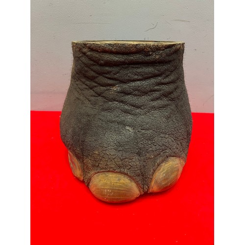 885 - Taxidermy elephants foot stool