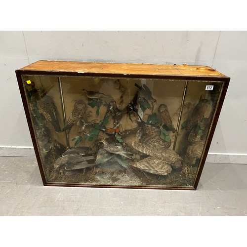 872 - Large cased taxidermy of different birds