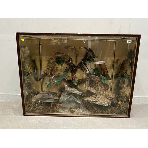 872 - Large cased taxidermy of different birds