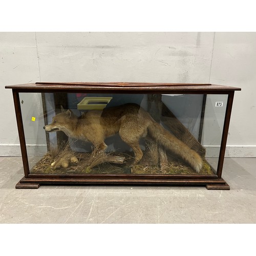 873 - Large impressive vintage taxidermy fox in glass case