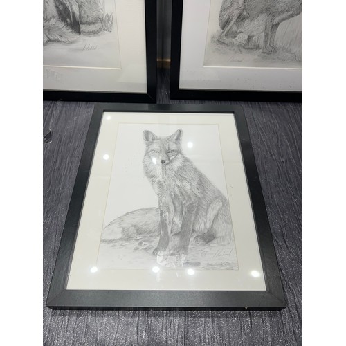 53 - 3 original art works, foxes + hare in frames