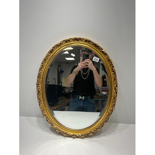 224 - Bevel edge oval mirror in gilt frame