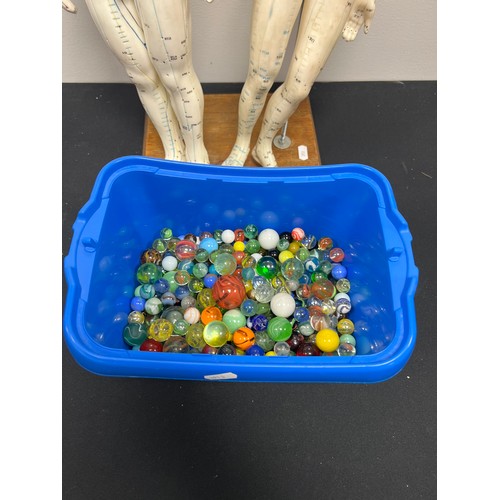 344 - Box marbles + phrenology figures