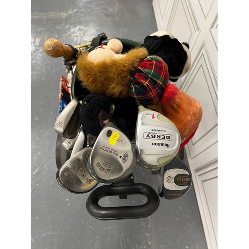 1043 - Toger woods starter kit- golf bag, clubs , trolley and brolly !