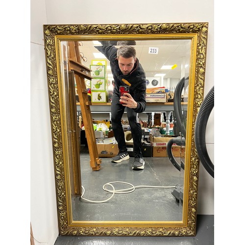 233 - Gilt frame mirror