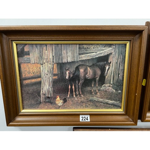 224 - 2 Horse Pictures in oak frames