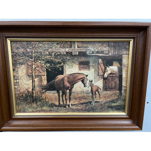 224 - 2 Horse Pictures in oak frames