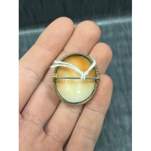 487 - Cameo Brooch set in 9ct Gold 8.5g gross