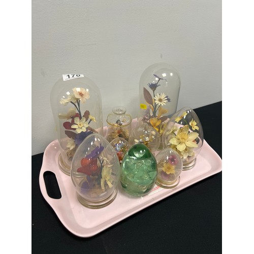 170 - Tray flowers under glass domes + paperweight tray not inc