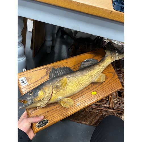 551 - Taxidermy fish on plaque + wicker basket + vintage scales & basket