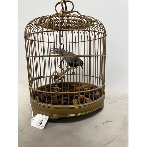 24 - Taxidermi magpie , robin in deco cage