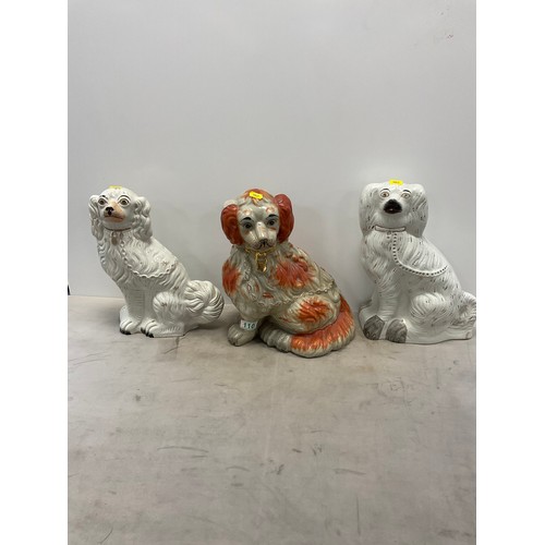 Lot 110       