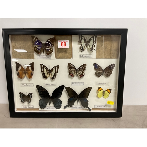 Lot 68        