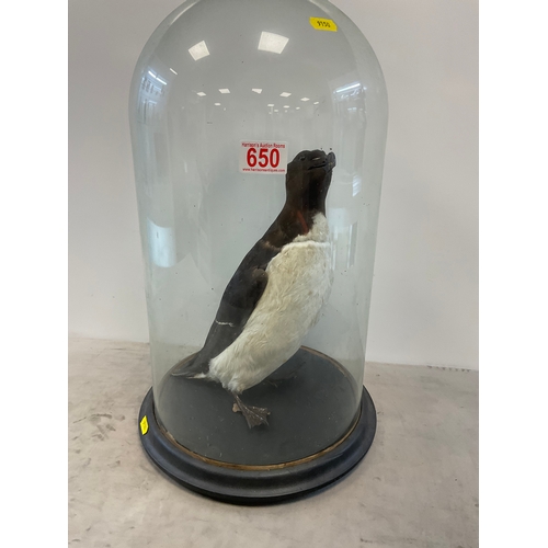 Lot 650       