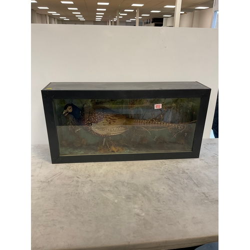 Lot 652       