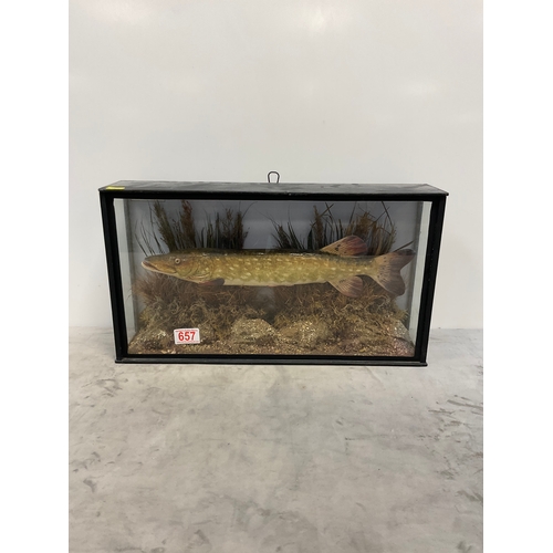 Lot 657       