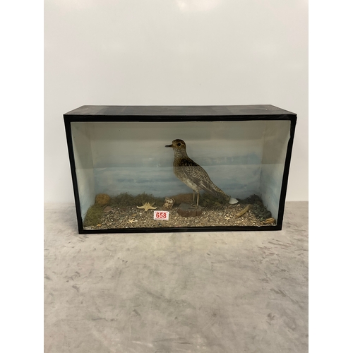 Lot 658       