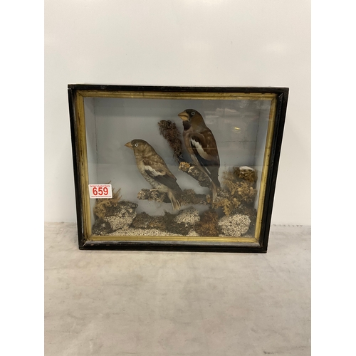 Lot 659       