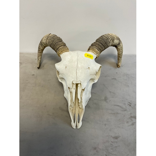 Lot 661       