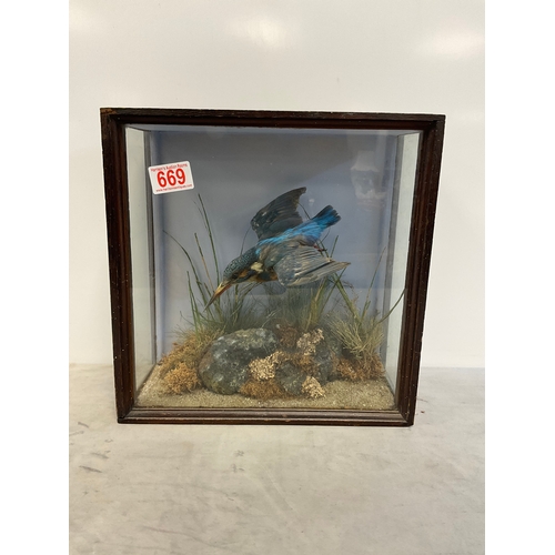 Lot 669       