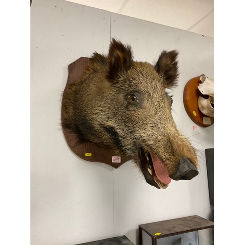 Lot 670       